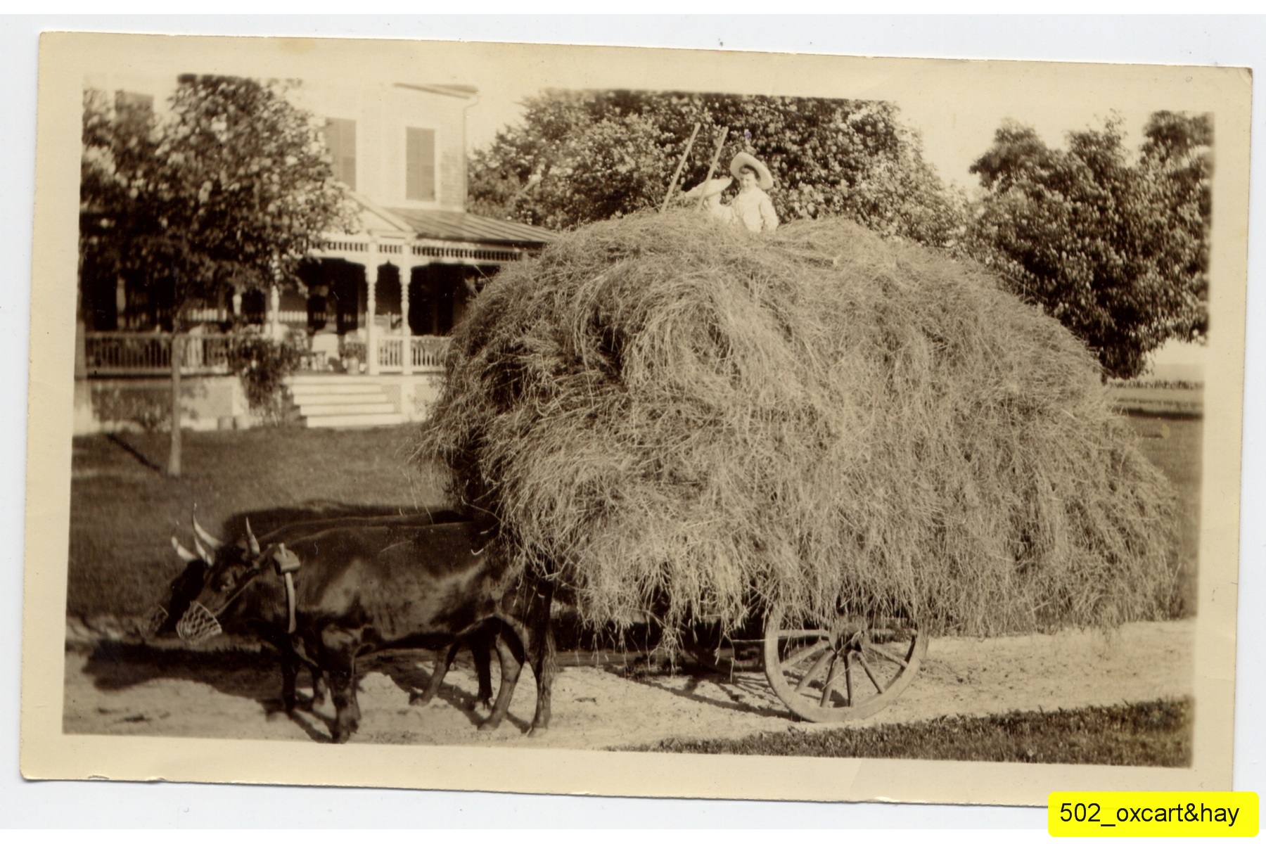 502_oxcart&hay.jpg
