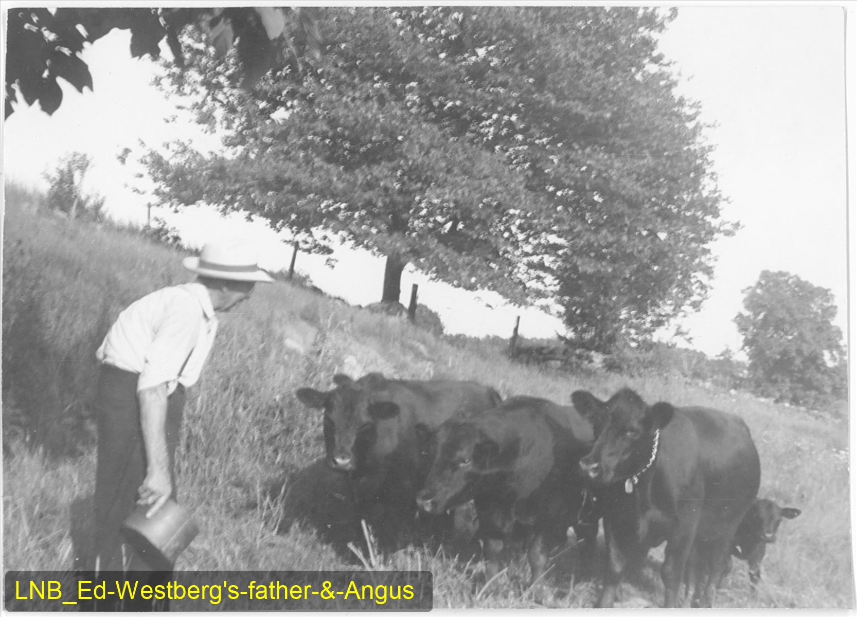 LNB_Ed-Westberg's-father-&-Angus.jpg