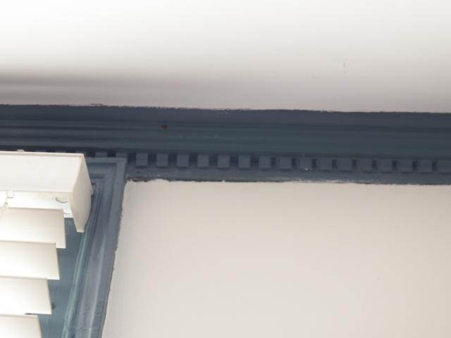 fancy-molding-in-music-east-room.jpg