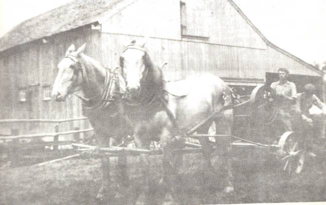 Burt and William Tucker with team of draft horses